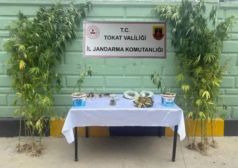 Tokat’ta jandarma ekipleri tarafından 2 ayda 56 kişi hakkında uyuşturucuya bağlı suçlarından işlem yapıldı
