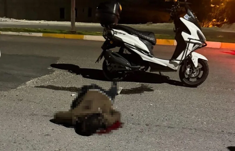 Bıçaklandı, motosikletiyle hastaneye giderken hayatını kaybetti
