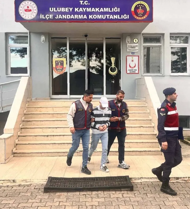 Ordu’da evden fındık çalan şüpheli tutuklandı
