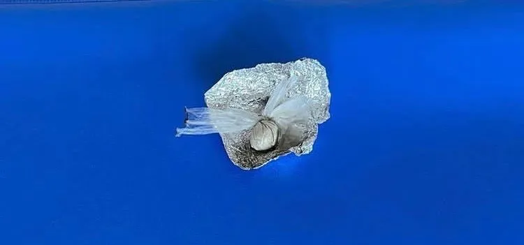 Isparta’da uyuşturucu denetiminde 1 kişiye adli işlem
