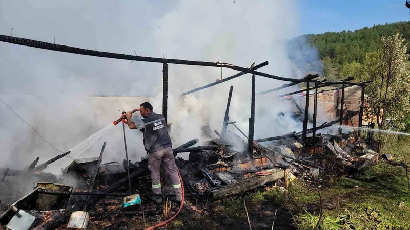 Yangında 36 kovan arı telef oldu
