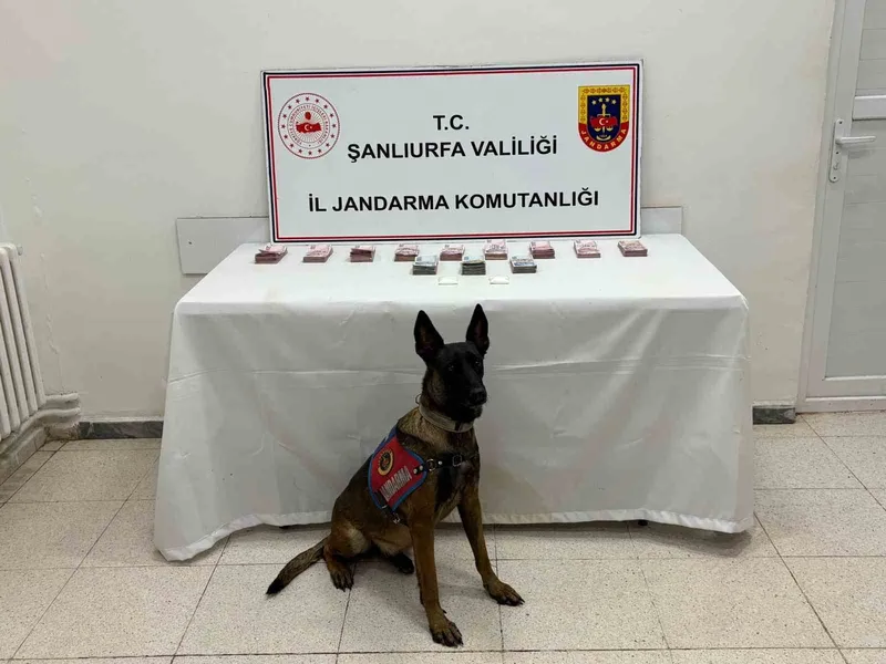 Şanlıurfa’da 210 bin TL ile uyuşturucu madde ele geçirildi
