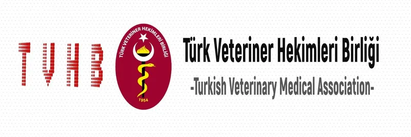 TVHB: 