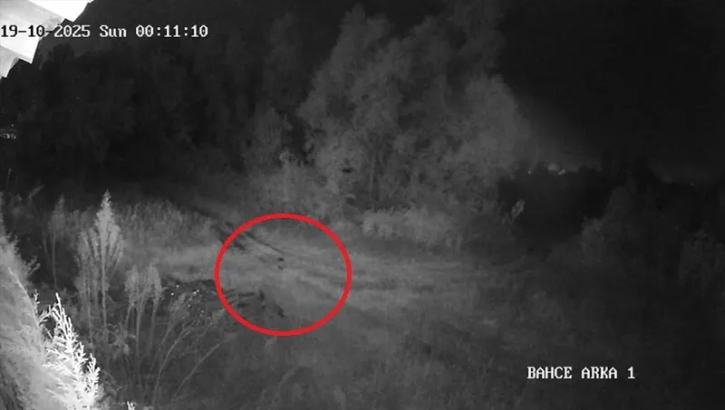Samsun’da 2 haftadır kayıp olan genç ilçede paniğe yol açtı: Vatandaşlar tedirgin
