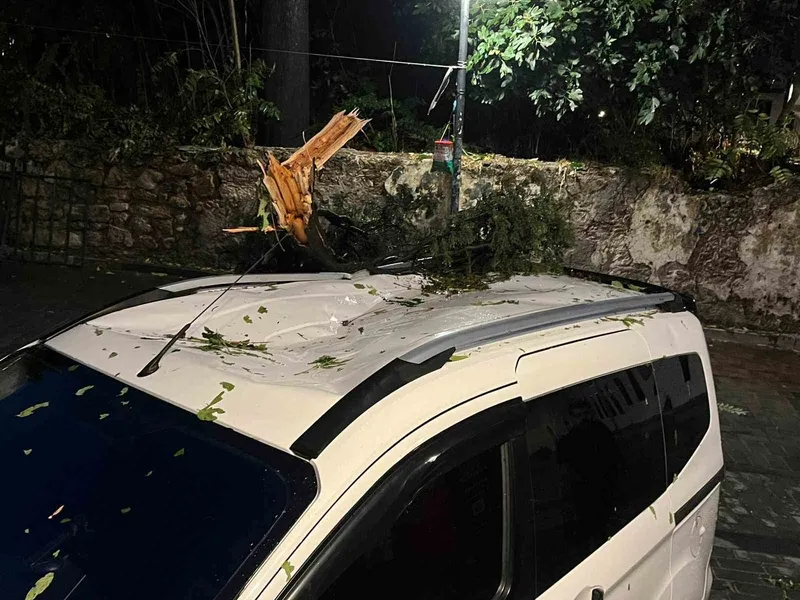 Fırtınanın devirdiği ağaç park halindeki aracın üzerine düştü
