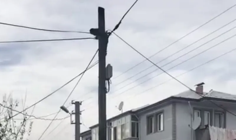 Köpeklerden kaçtı, direkte mahsur kaldı
