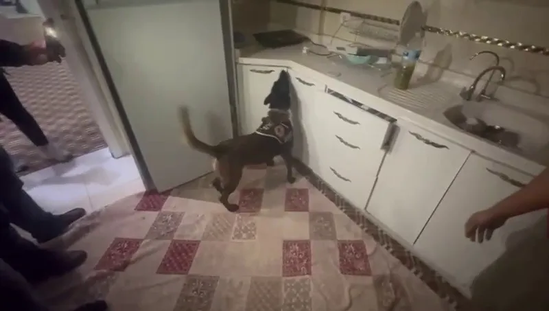 Kasaya zulalanan 10 kiloluk uyuşturucuyu narkotik köpeği ’Alis’ buldu

