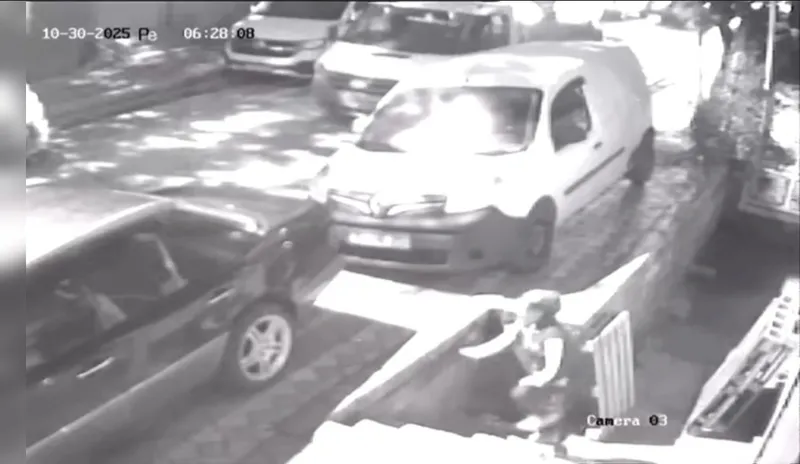 Sultangazi’de paletleri kamyonete yükleyip çaldılar: 1’i kadın 2 hırsız rahat tavırlarıyla dikkat çekti
