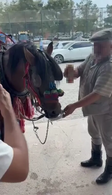 Muğla’da 