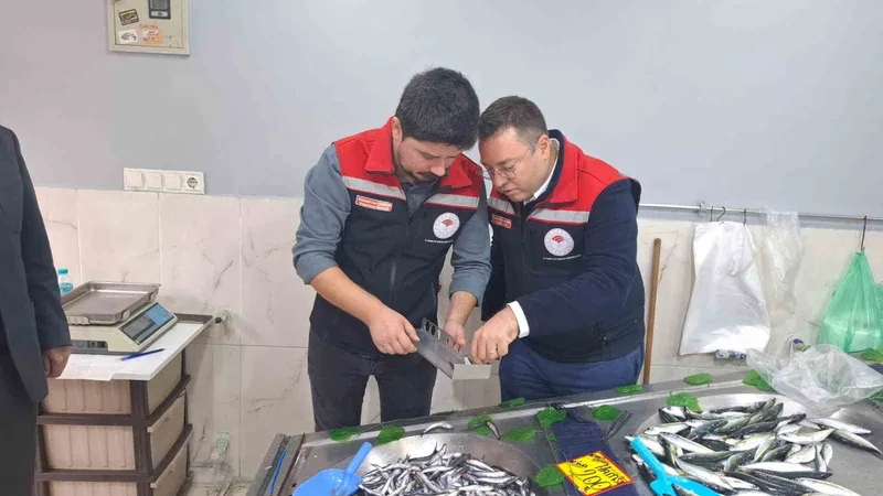 Hayrabolu’da balık satış yerleri denetlendi
