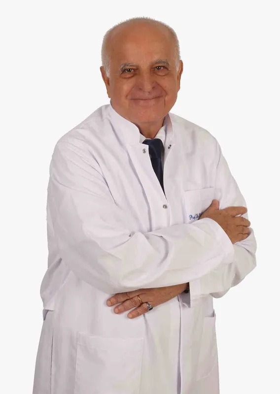 Prof. Dr. Akbaba: 
