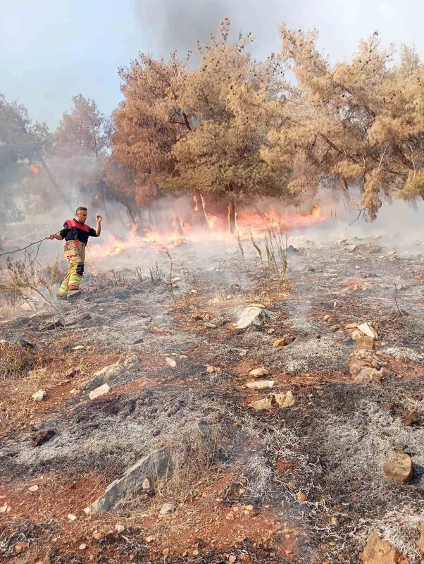Antakya’da orman yangını
