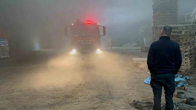 Edirne’de palet fabrikasında yangın
