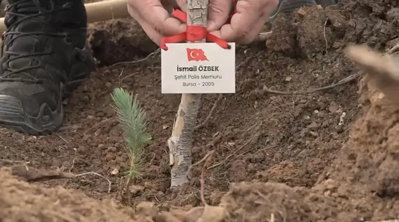 Bursa’da şehitler anısına fidan dikildi
