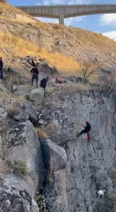 Uçurumda mahsur kalan keçi kurtarıldı
