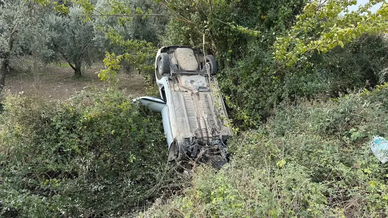 Sollama yaparken zeytinliğe uçtu
