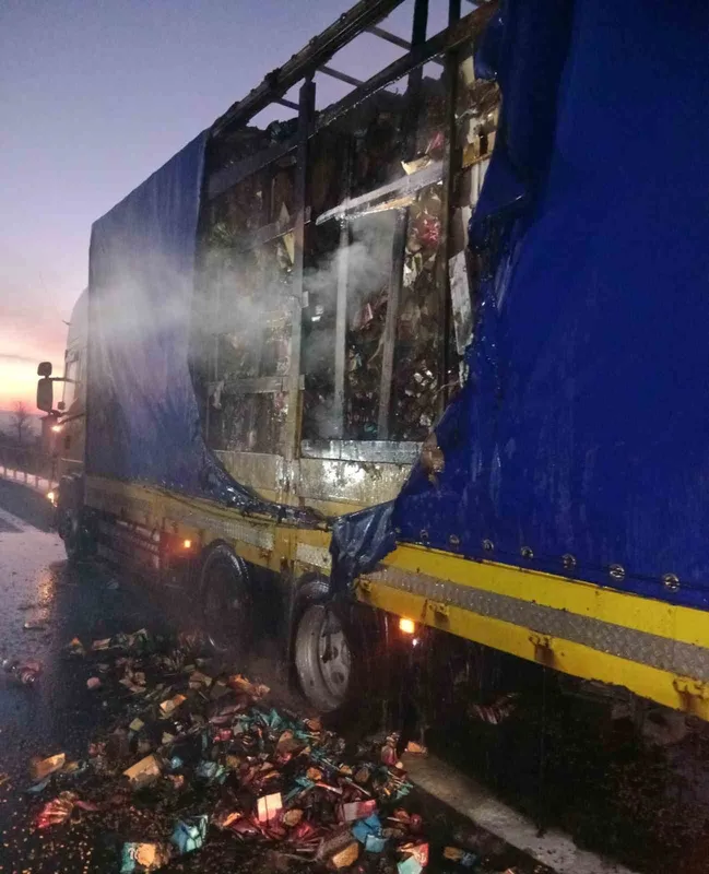 Bolu’da kuruyemiş yüklü dorse yandı
