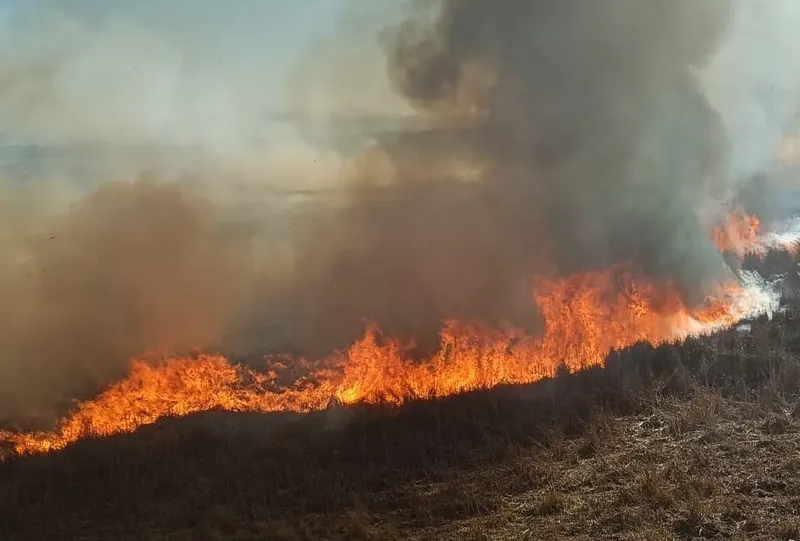 Beyşehir’de sazlıklar alev alev yandı
