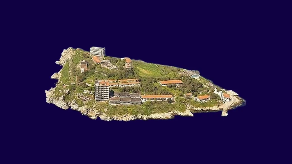 İmralı görüşmesinin detayları belli oldu