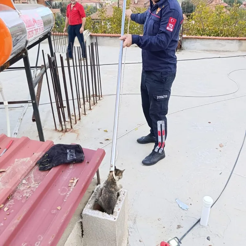 Bacaya sıkışan kediyi itfaiye kurtardı
