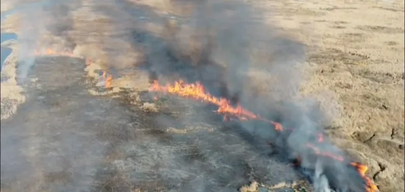 Van’da sazlık yangını
