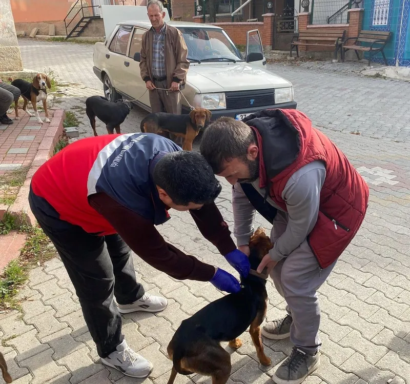 Emet’te sahipli kedi ve köpeklere mikroçip ve kuduz aşısı uygulaması
