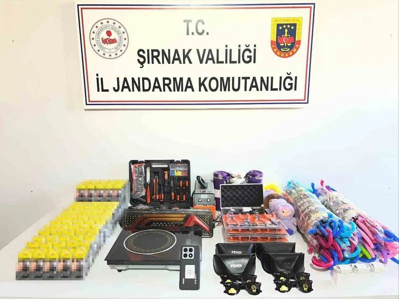 Şırnak’ta Jandarmadan kaçakçılık operasyonu: 55 şüpheli hakkında işlem yapıldı
