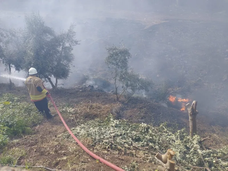 Kumlu’da bahçe yangını

