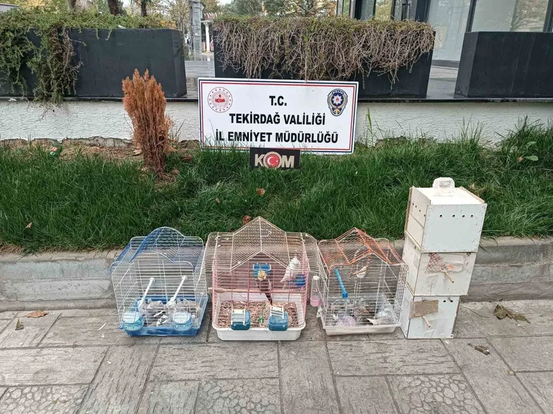 Tekirdağ’da yasa dışı hayvan üretimine ağır ceza
