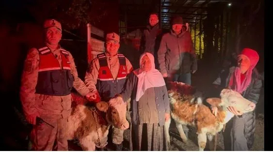 Jandarma çalınan hayvanları sahibine teslim etti
