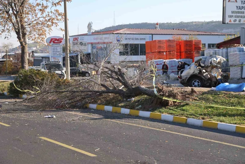 İkiye bölünen otomobil, genç arkadaşlara mezar oldu

