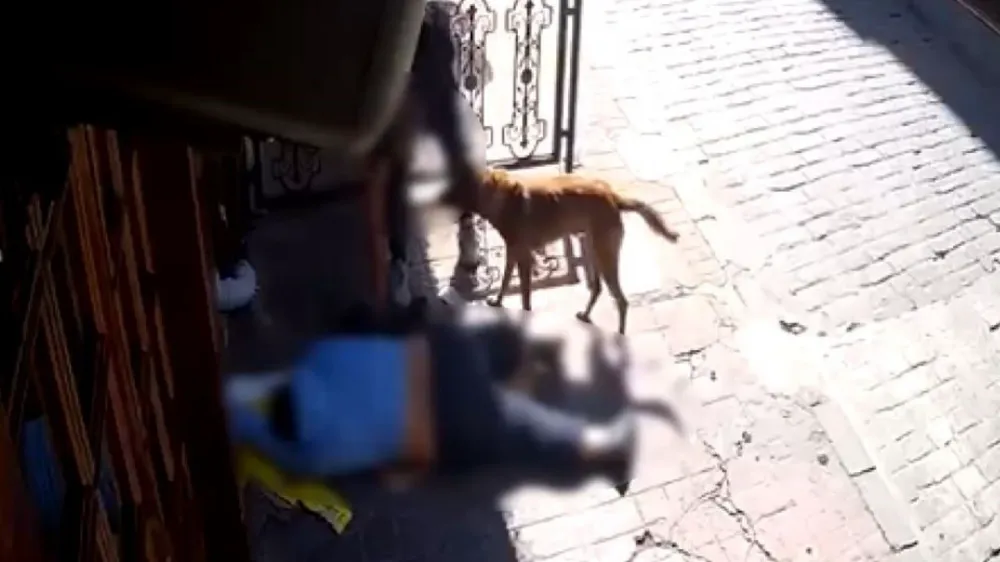 Sara nöbeti sonrası bayılan adamın telefonunu çaldılar