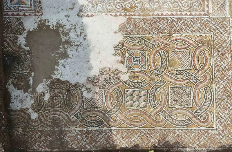 Hadrianopolis’te saray kompleksi ortaya çıktı: 4. yüzyıla ait eşsiz mozaikler bulundu
