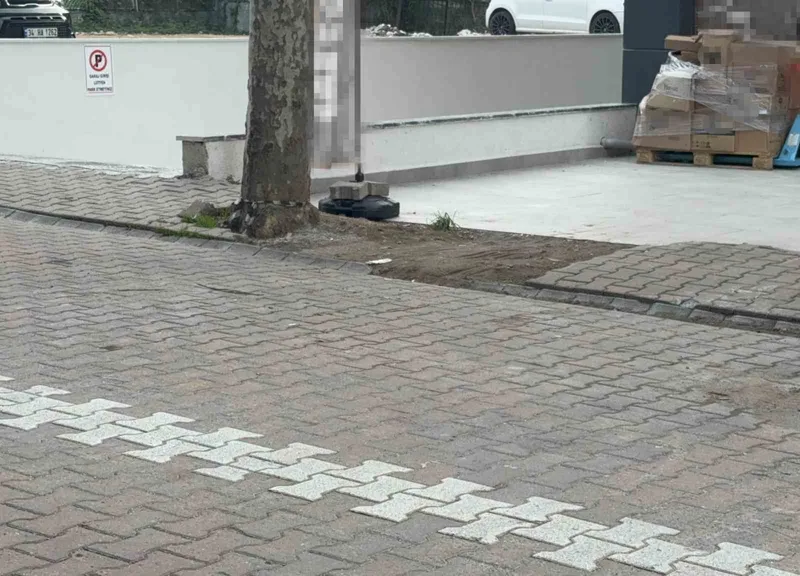 Çöpe atmak için yerden aldığı kargo poşetinin içinden 60 bin dolar çıktı
