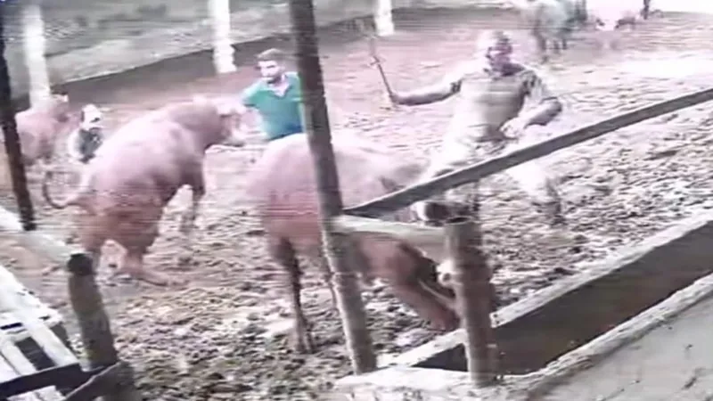 Üzerine zıplayan boğanın darbesiyle yere serildi: O anlar kamerada
