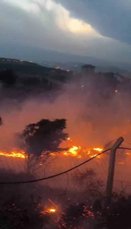 Hatay’da otluk alanda çıkan yangın kısa sürede söndürüldü
