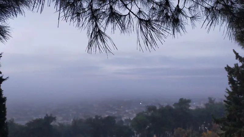 Aydın’da puslu sabah manzaraları mest etti
