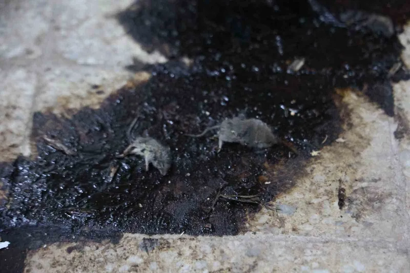 Kilis’te hijyen şartlarına aykırı üretim yapan işletmeye 105 bin TL ceza
