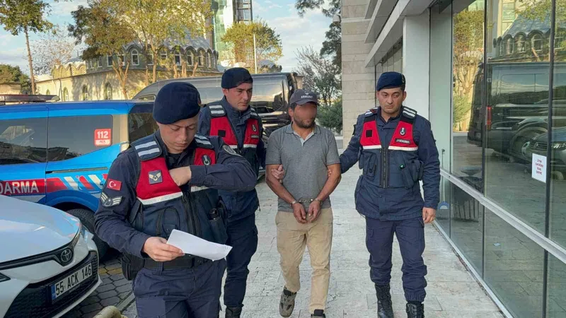 Ağaç kesimi sırasında komşusunun ölümüne sebep olan şahıs tutuklandı
