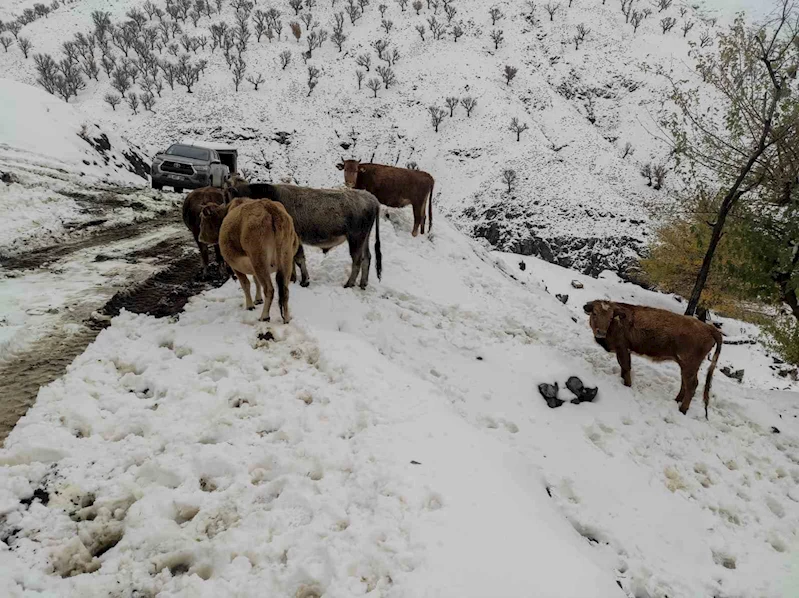 Batman’da nisan ayında kar çilesi: 60 yerleşim yerinin yolu ulaşıma kapandı
