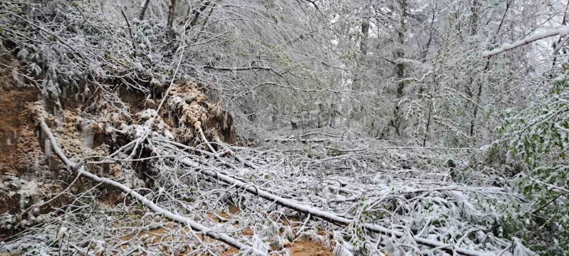 Heyelandan kapanan yol yeniden ulaşıma açıldı
