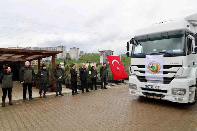 Ordu’dan Azerbaycan’a 3 tır orman fidanı gönderildi
