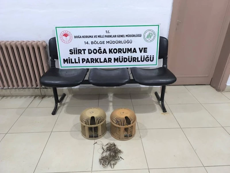 Siirt’te keklik avına 111 bin 855 lira ceza
