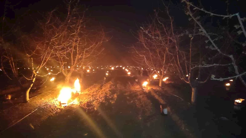 Zirai dona karşı gece nöbeti
