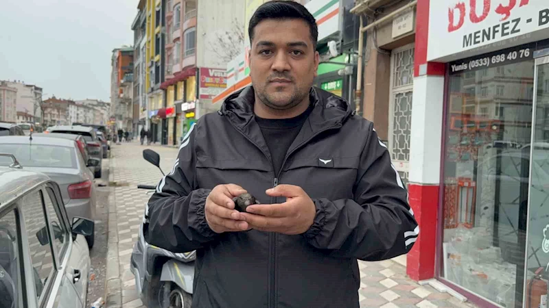Yaralı sandığı ebabili evinde besledi, daha sonra doğaya bıraktı
