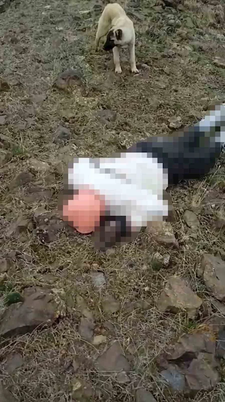 Özalp kırsalında erkek cesedi bulundu
