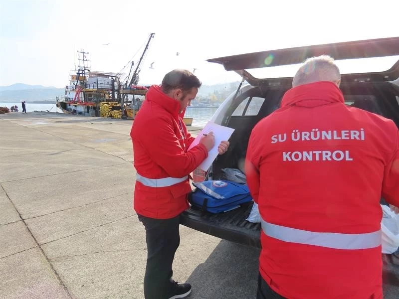 Trabzon’da belirlenen limitlerin altında avlanan balıkçılara 2 milyon 390 bin TL para cezası
