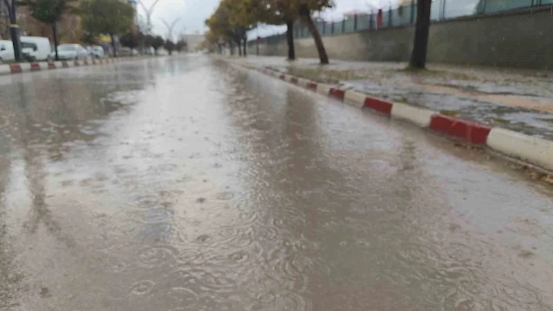 Erciş’te yağmur yağışı etkili oldu
