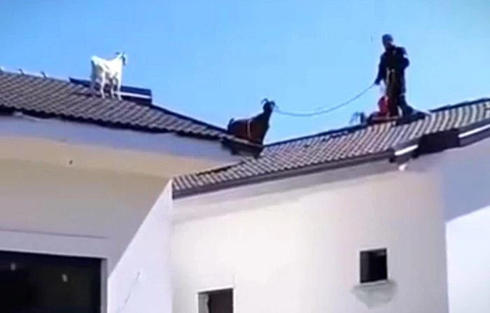 Fethiye’de sıra dışı kurtarma operasyonu
