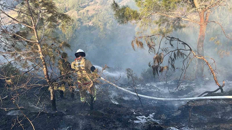 Hatay’da orman yangını
